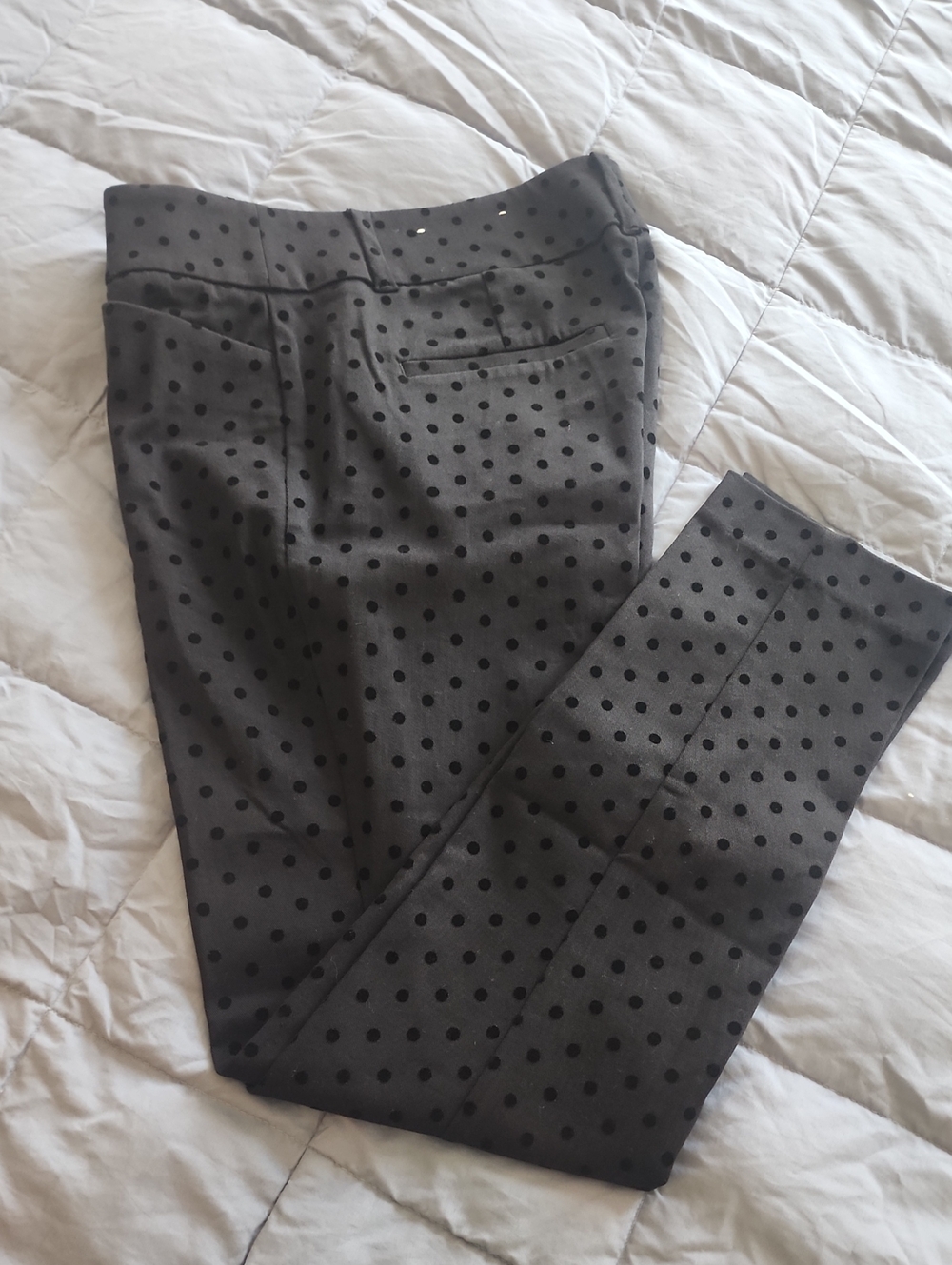 Polka Dot Stretch Dress Pants - Charcoal Black